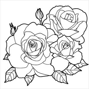 Meet your Posher, Rubi